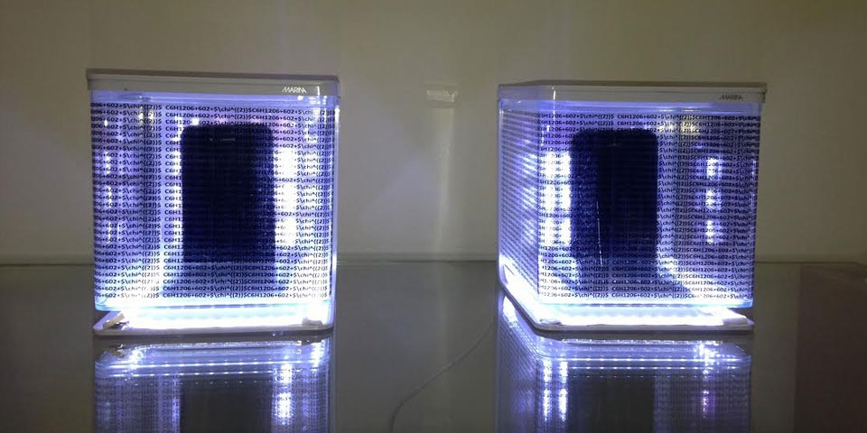 Transitive Beginning